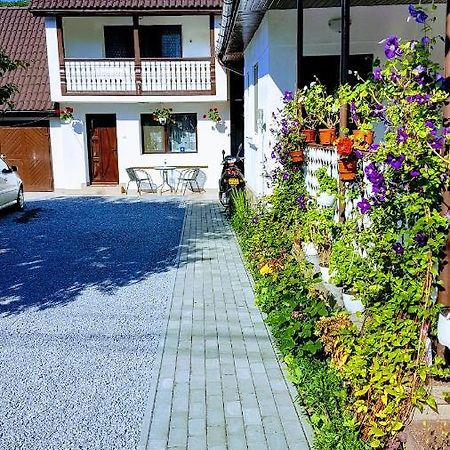 Casa Sallai Lägenhet Sovata Exteriör bild