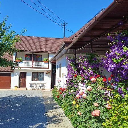 Casa Sallai Lägenhet Sovata Exteriör bild