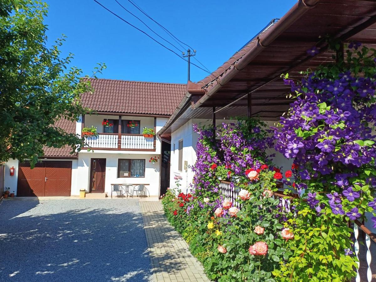 Casa Sallai Lägenhet Sovata Exteriör bild